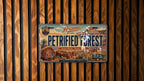 Petrified Forest National Park Metal License Plate Sign Travel Poster Souvenir Desert Landscape Road Trip Decor — photo 4