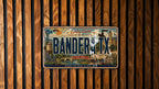 Bandera TX Retro Style License Plate, Bandera Texas Souvenir Car Tag, Hill Country Travel Theme Auto Plate — photo 3