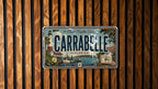 Carrabelle Florida Retro Style License Plate, Gulf Coast Souvenir Car Tag, Beach Town Travel Keepsake Plate — photo 1