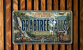 Retro Crabtree Falls License Plate Souvenir, Crabtree Falls Virginia Scenic Travel Tag, Waterfall Landmark Plate — photo 1