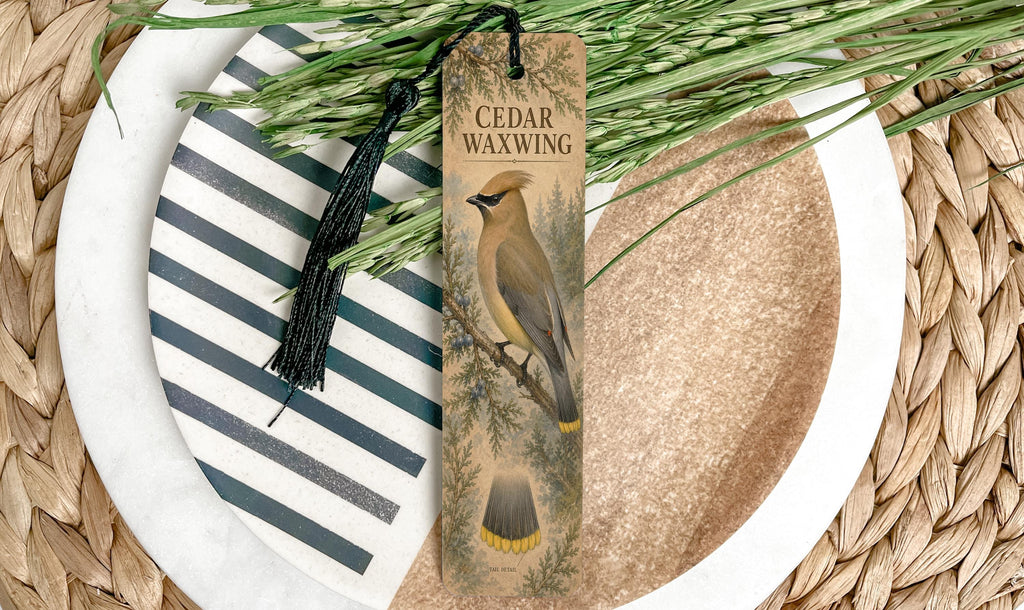 Cedar Waxwing Metal Bookmark, Illustrated Bird and Tail Study, Birdwatcher Gift — photo 1
