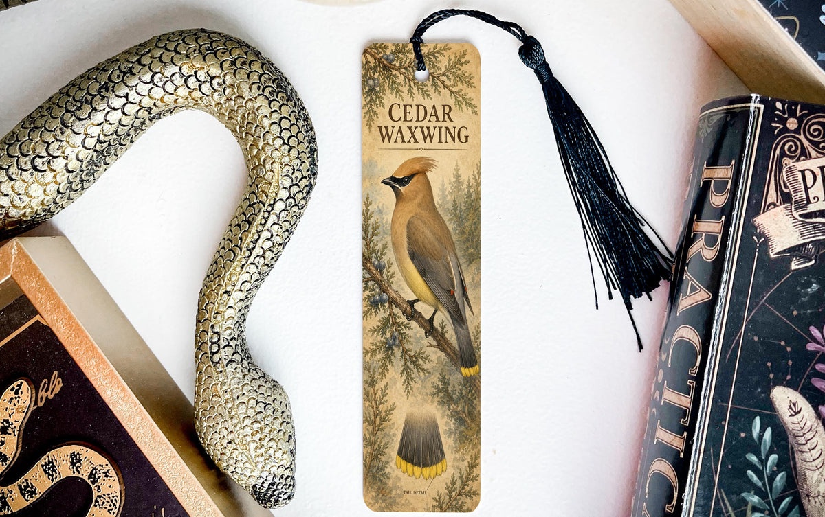 Cedar Waxwing Metal Bookmark, Illustrated Bird and Tail Study, Birdwatcher Gift — photo 3
