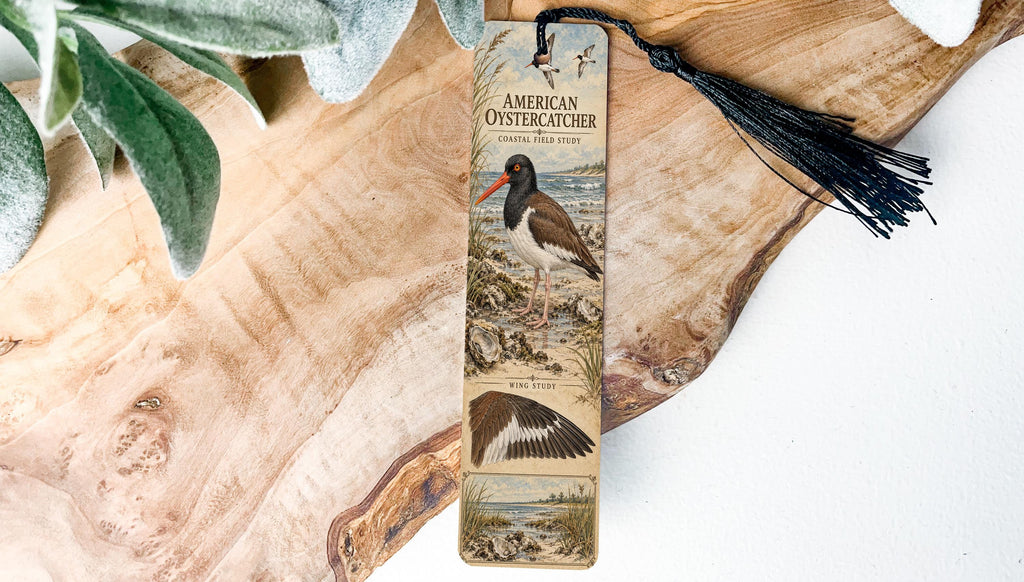 American Oystercatcher Metal Bookmark – Coastal Bird Field Study — photo 2