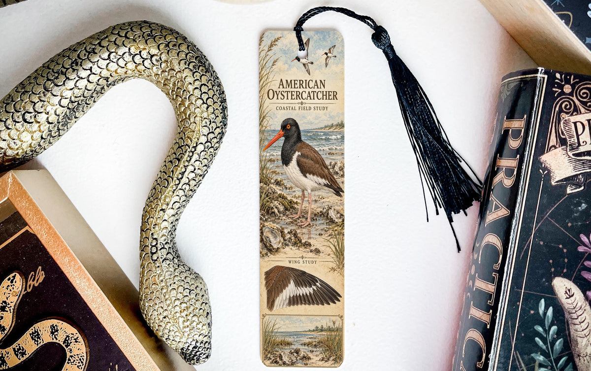 American Oystercatcher Metal Bookmark – Coastal Bird Field Study — photo 3