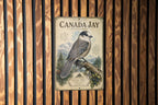 Canada Jay Metal Sign Vintage Natural History Bird Illustration Ornithology Specimen Plate Scientifi, photo 3 of 5