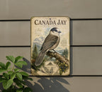Canada Jay Metal Sign Vintage Natural History Bird Illustration Ornithology Specimen Plate Scientifi, photo 5 of 5