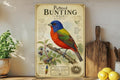 Painted Bunting Male Metal Sign