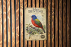 Painted Bunting Male Metal Sign, photo 3 of 5